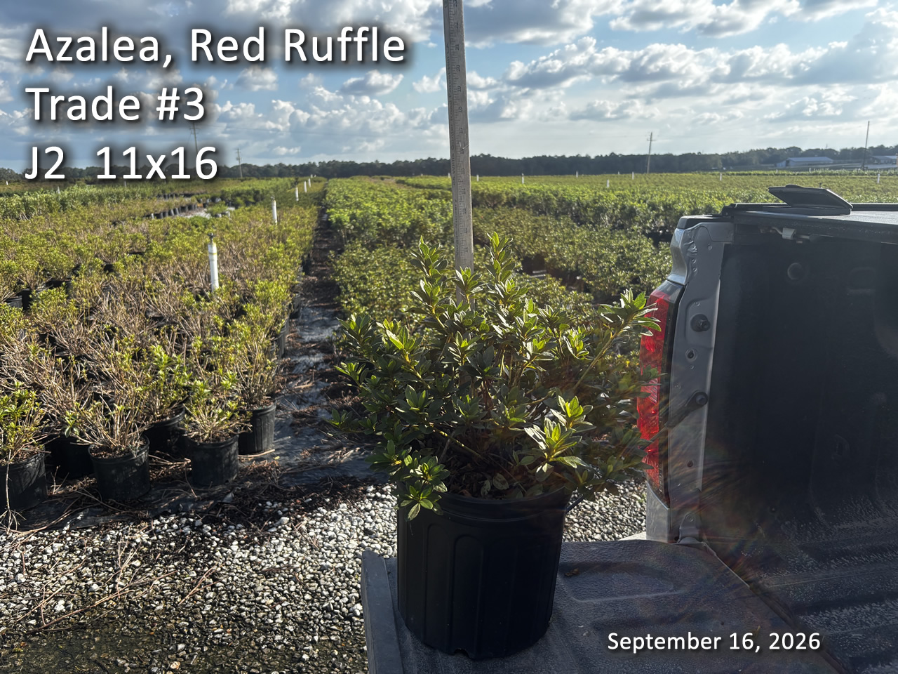 gallery/rr3t j2 sept16.jpg